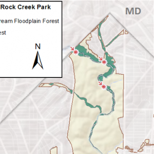 map of Tuliptree Small-Stream Floodplain Forest in Rock Creek Park